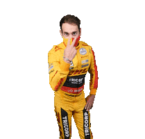 Nathanael Berthon Drive Sticker by FIA World Touring Car Cup
