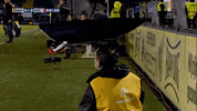 GIF by FOX Sports