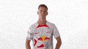 Football Soccer GIF by RB Leipzig