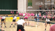 north dakota state bison GIF by NDSU Athletics