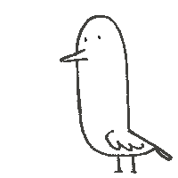 architvaze bird scream pigeon archit Sticker