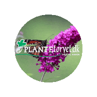 Logo Sticker by Plantetorvet.dk