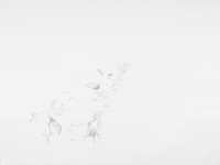 Animation Dog GIF by Jonah Primiano