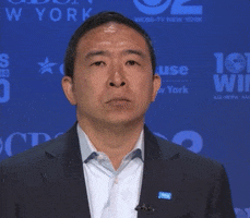 Andrew Yang Death Stare GIF by GIPHY News