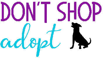 Adopt Dont Shop Sticker by HeARTs Speak