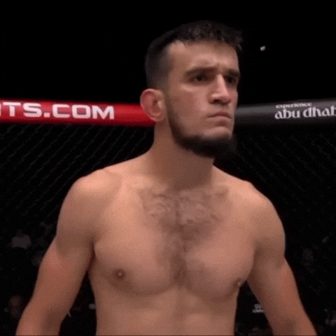 Prince Of Persia Mma GIF