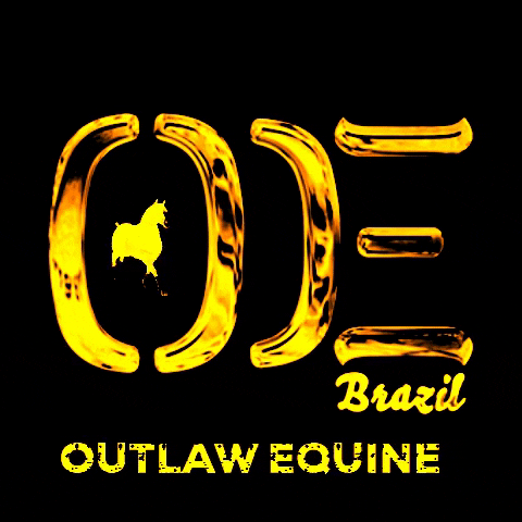 OUTLAWEQUINEVET giphyupload oe outlaw equine GIF