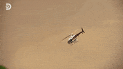 GIF by Discovery Europe