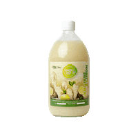 Ginger Lemon Sticker by Gingershotstenerife