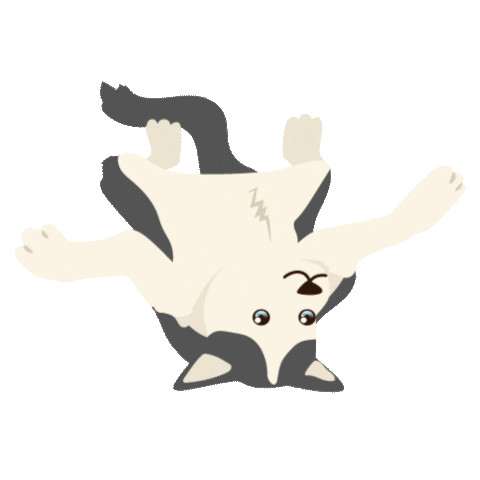 SollaMascotas love happy party dog Sticker