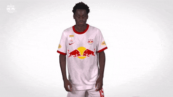 Red Bull What GIF by FC Red Bull Salzburg