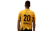 bregenz_handball handball ante bh1946 bregenzhandball Sticker