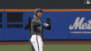 Francisco Lindor Celebration GIF by New York Mets