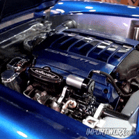 Muscle Custom GIF by ImportWorx