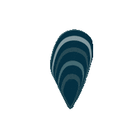 Barco Ons Sticker by MrTurismo