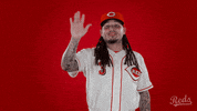 Freddy Galvis Baseball GIF by Cincinnati Reds