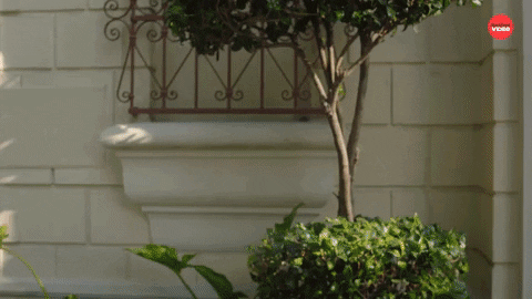 Real Life Summer Games GIF by BuzzFeed