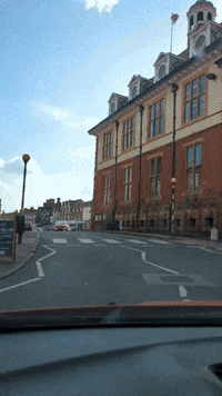 GIF by Stella 52