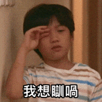 Tiger Mirror GIF by ViuTV