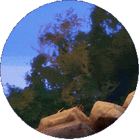 Surprise Tca Sticker by The Chosen Brasil