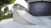 Dogs Skateboarding GIF by jOnNy'S wOrLd