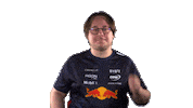 Red Bull Sr Sticker by Oracle Red Bull Racing