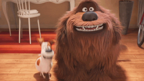 Happy Dance GIF by The Secret Life Of Pets