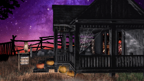AutumnCozy giphyupload halloween stars night GIF