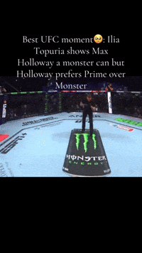 Ufc Mma GIF