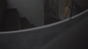 star on fox GIF by STAR