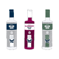 Reisetbauer Gins Sticker by BLUE GIN