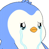 Sad Oh No GIF by Pudgy Penguins