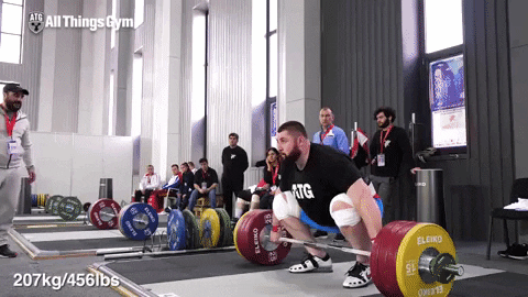 gregorwinter giphygifmaker snatch clean and jerk lasha GIF