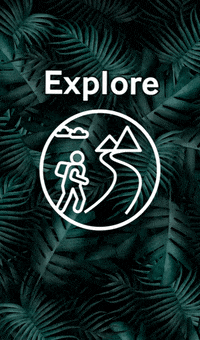 FaunaCrossFit explore GIF