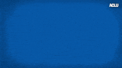 Voting Election 2020 GIF by ACLU
