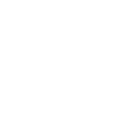 hanamifiorideco flower cherry blossom fiore hanami Sticker