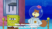 season 9 GIF by SpongeBob SquarePants