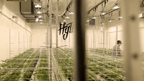 Chocolate Working GIF by Exclusive Brands