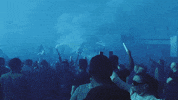 Everton Fc Fans GIF by Everton Football Club