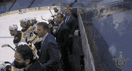 Celebrate Ice Hockey GIF by NHL