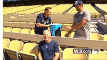 ice bucket challenge stadium GIF by MLB