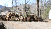 Mountains Landscaping GIF by JC Property Professionals