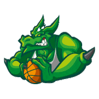 Fogoneles Sticker by Bauru Basket