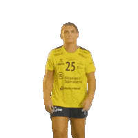 Rema1000Ligaen Sticker by Norsk Topphåndball