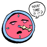 Tired Alarm Clock Sticker by GIPHY Studios 2021