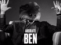 Dog Cinema GIF