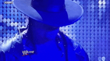 the undertaker wrestling GIF by WWE
