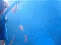 angus young GIF