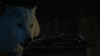 GIF by Game of Thrones