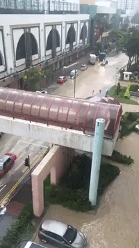 Typhoon Hato Swamps Roads and Buildings in Hong Kong
